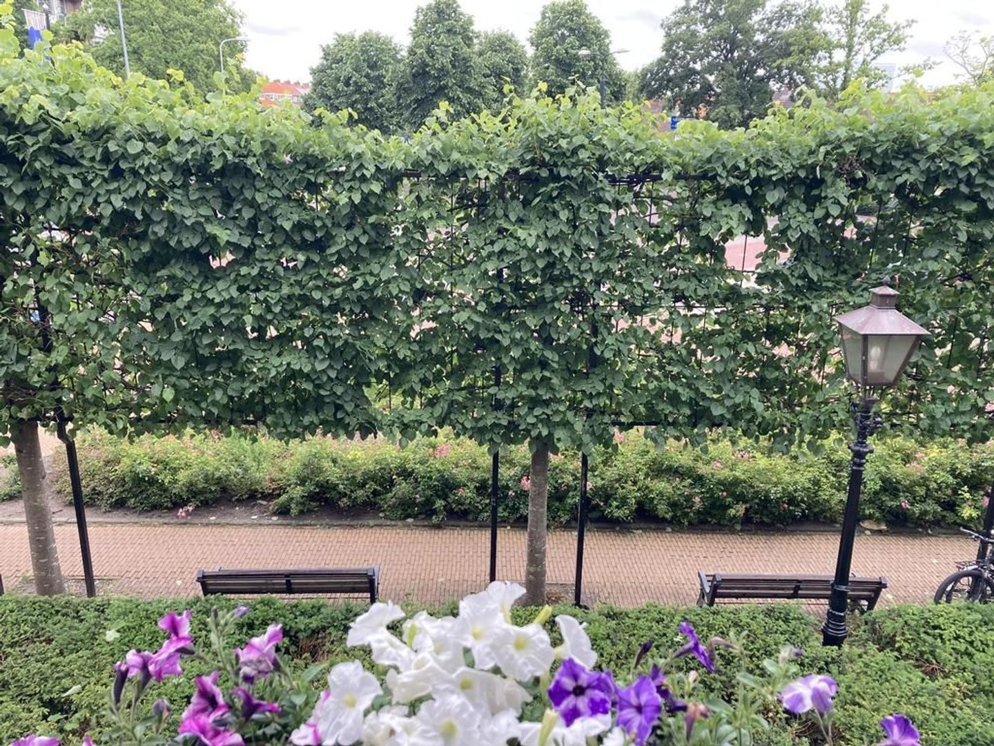 Steenlaan 1, Rijswijk foto-14