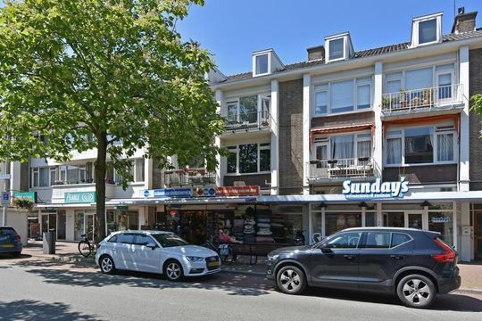 Theresiastraat 104, Den Haag
