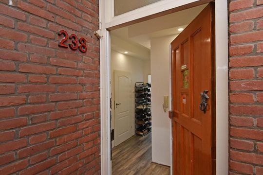 Vier Heemskinderenstraat 238, Den Haag small-2
