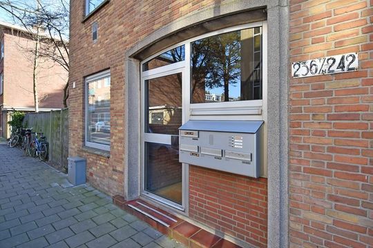 Vier Heemskinderenstraat 238, Den Haag small-1