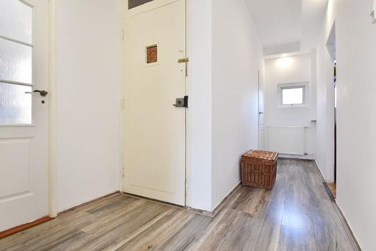 Vier Heemskinderenstraat 238, Den Haag small-3