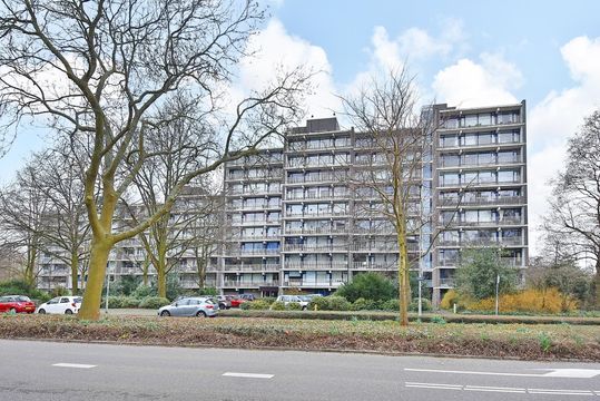 Tulpentuin 193, Voorburg small-3