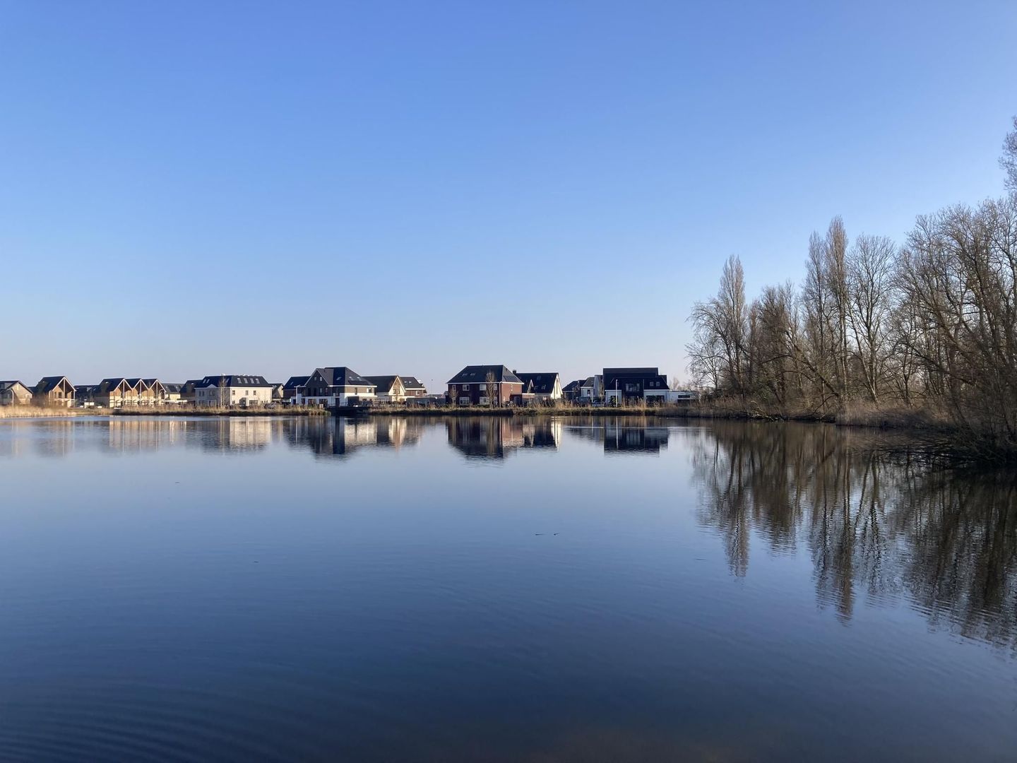 Begoniatuin 231, Pijnacker foto-13