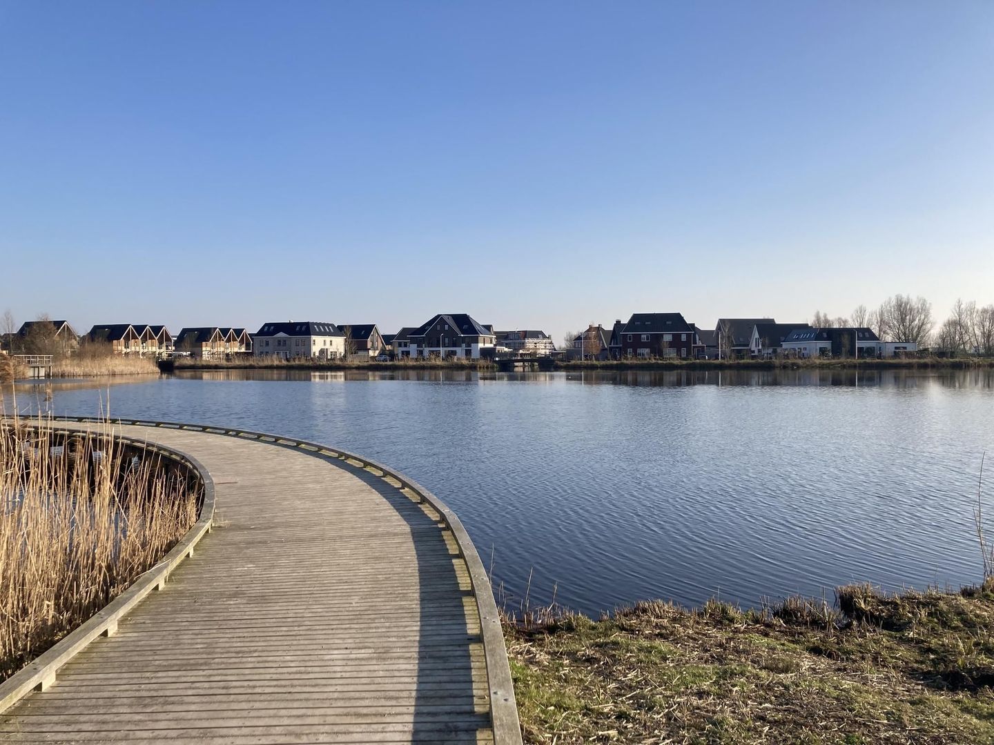 Begoniatuin 231, Pijnacker foto-12
