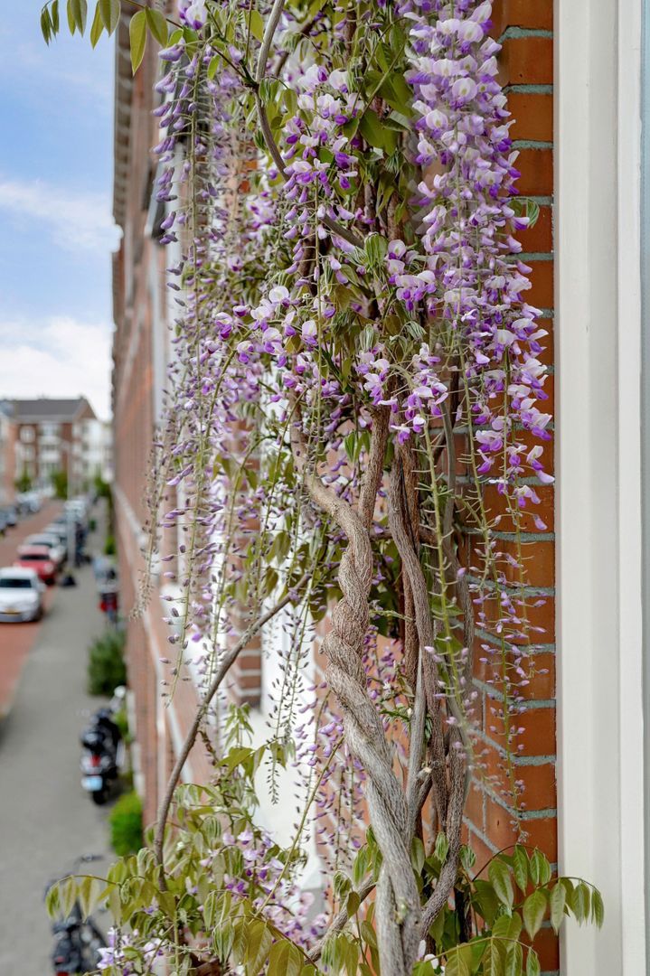 Johannes Camphuijsstraat 230, Den Haag foto-36