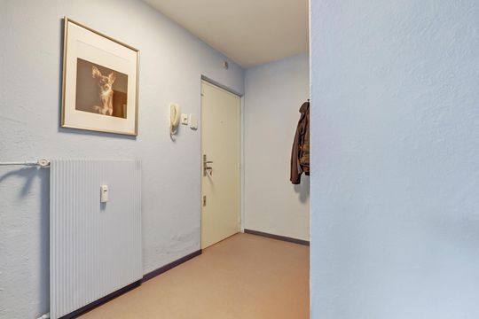 Roggekamp 331, Den Haag small-3