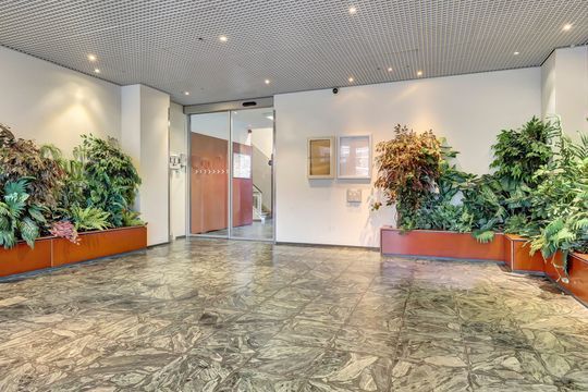 Laan van Nieuw-Oost-Indië 53, Den Haag small-1