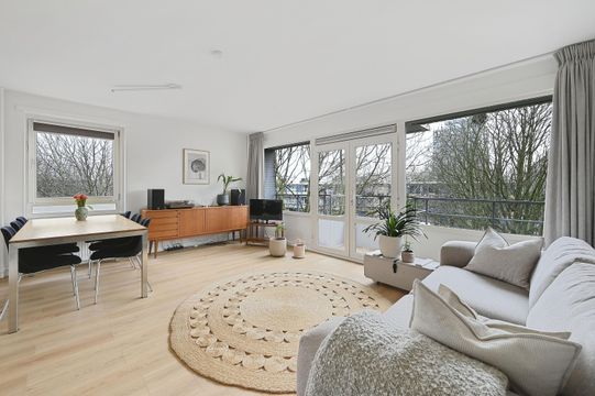 Roggekamp 523, Den Haag