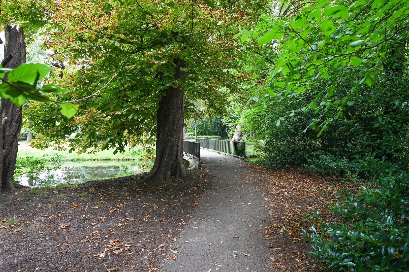 Nassaukade 18, Rijswijk foto-45