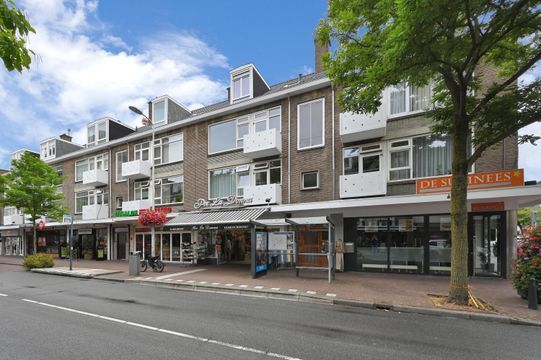 Theresiastraat 117 B, Den Haag small-3