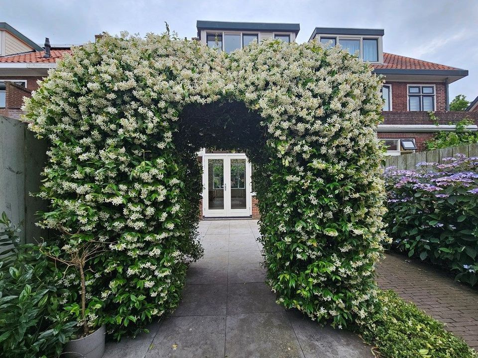 Vergierdeweg 189