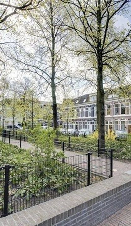 Leidseplein 8 zw