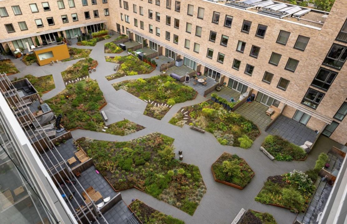 Anthony Roodvoetsstraat 91