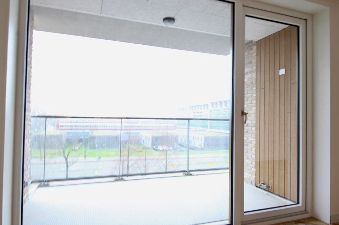 Anthony Roodvoetsstraat 91