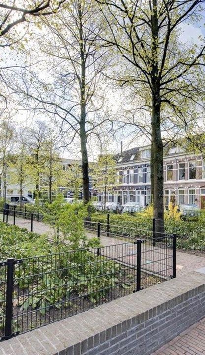 Leidseplein 8 zw