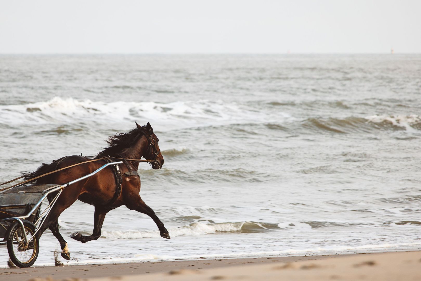 Type D8 - woontoren Venturo 0 ong Den Haag photo-6