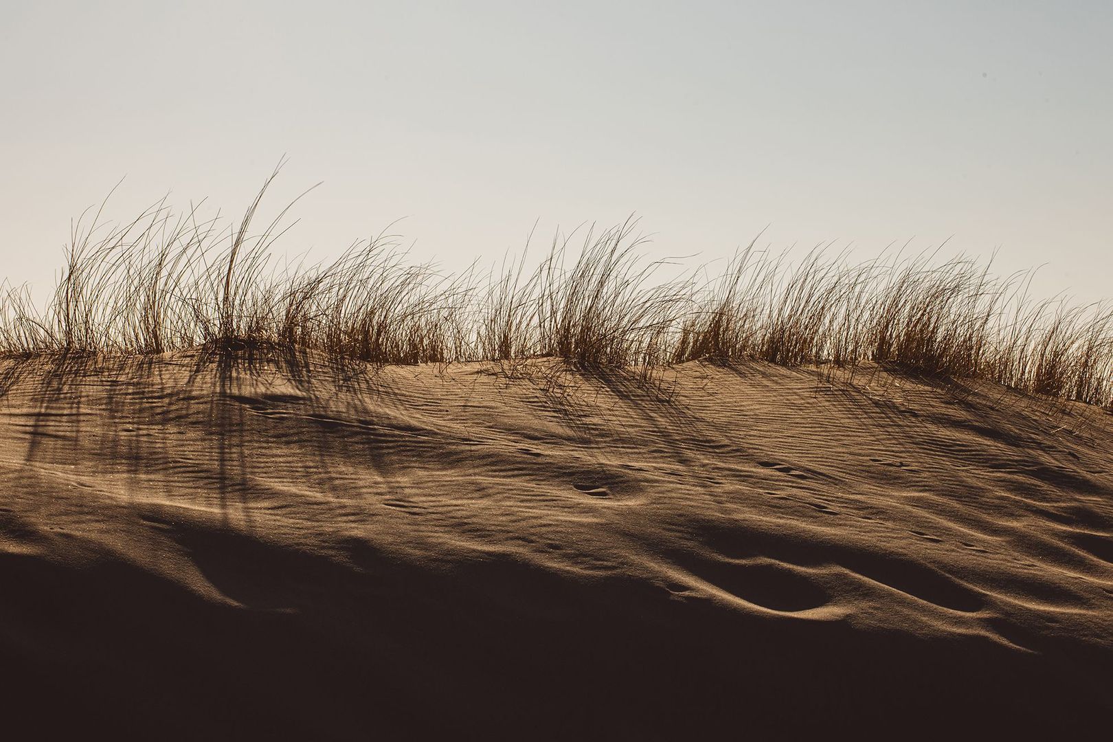 Type B10 - woontoren Lunaris 0 ong Den Haag photo-7