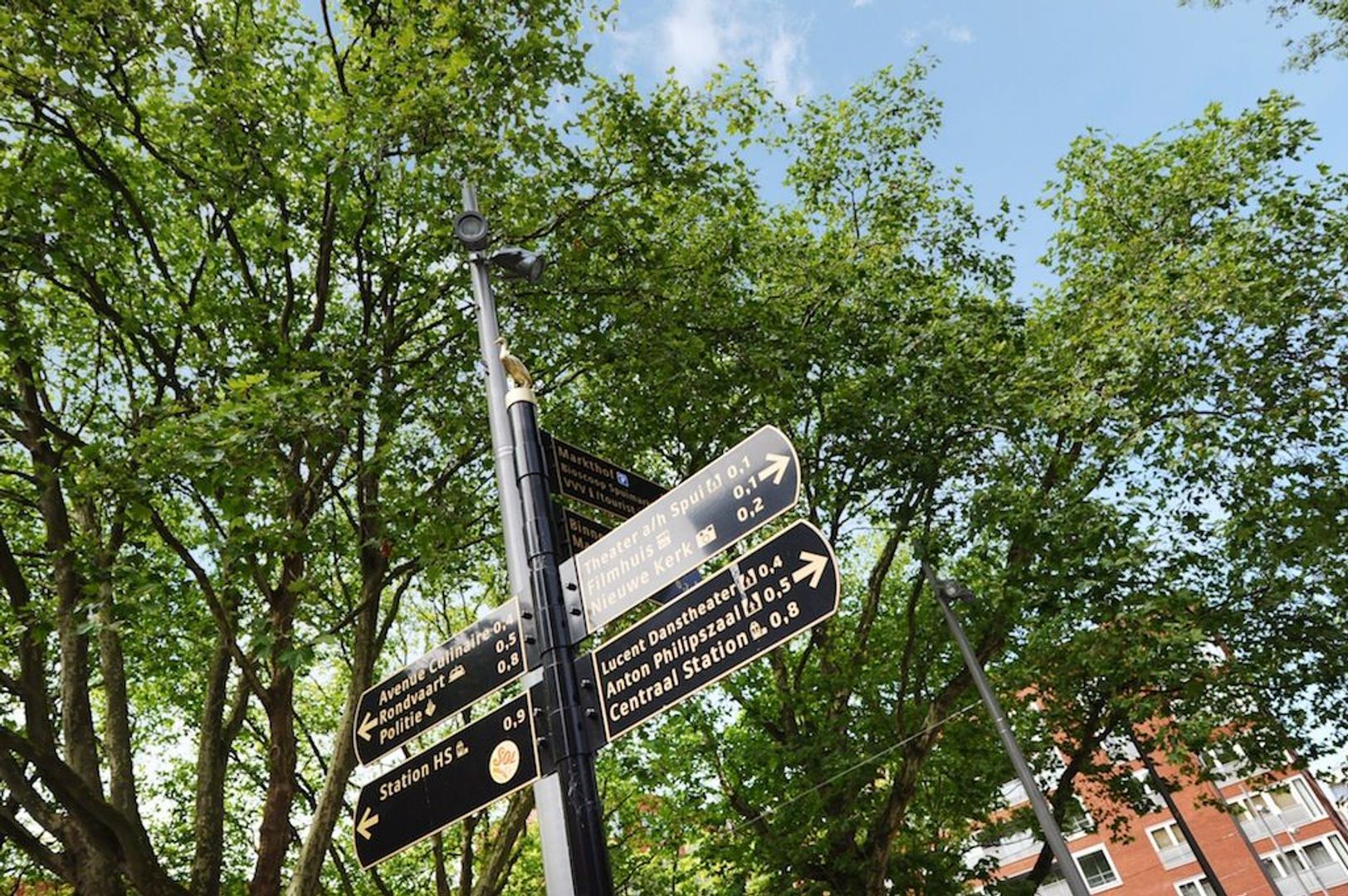 Rabbijn Maarsenplein 15 Den Haag photo-24