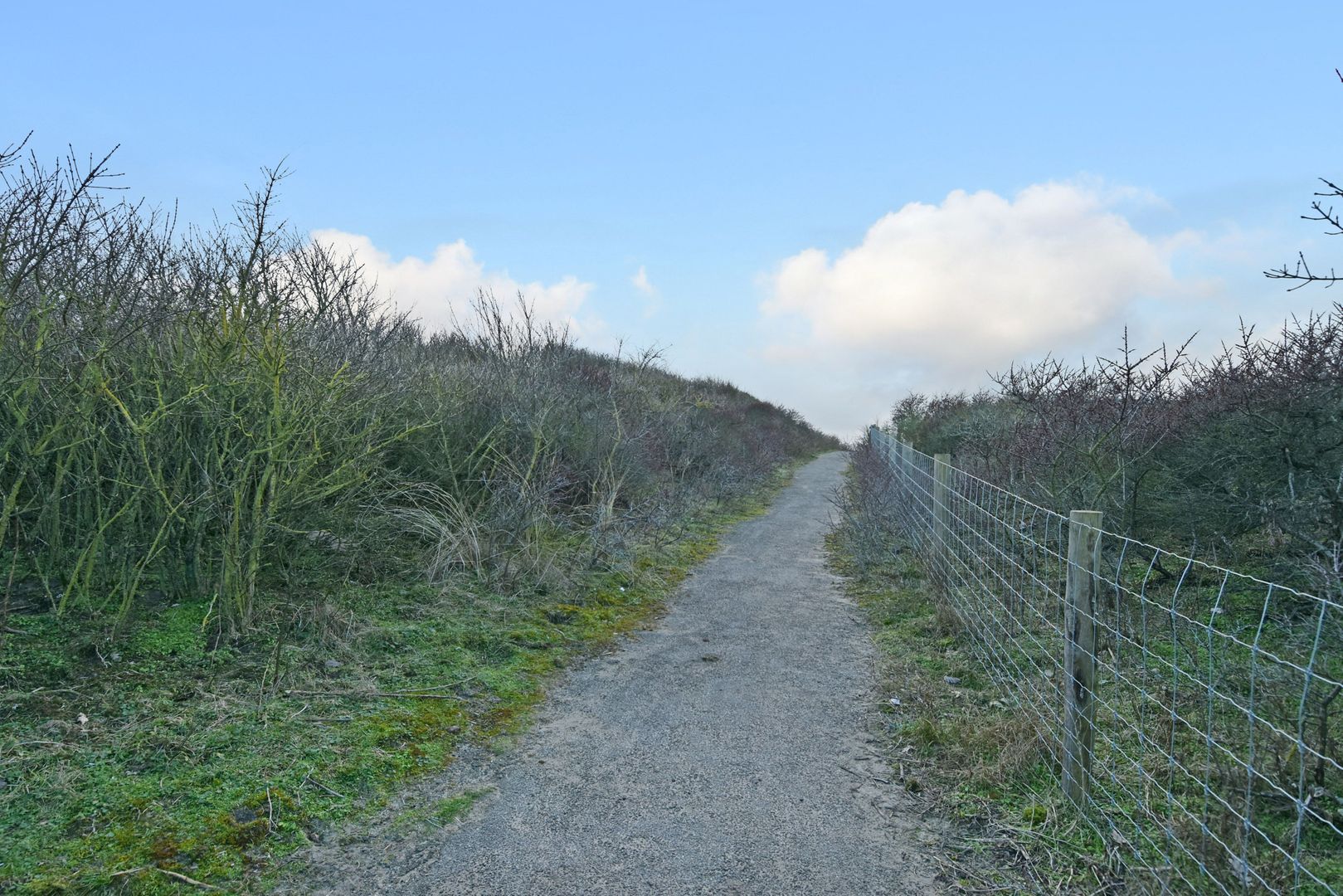 Katwijkselaan 2 Den Haag photo-43