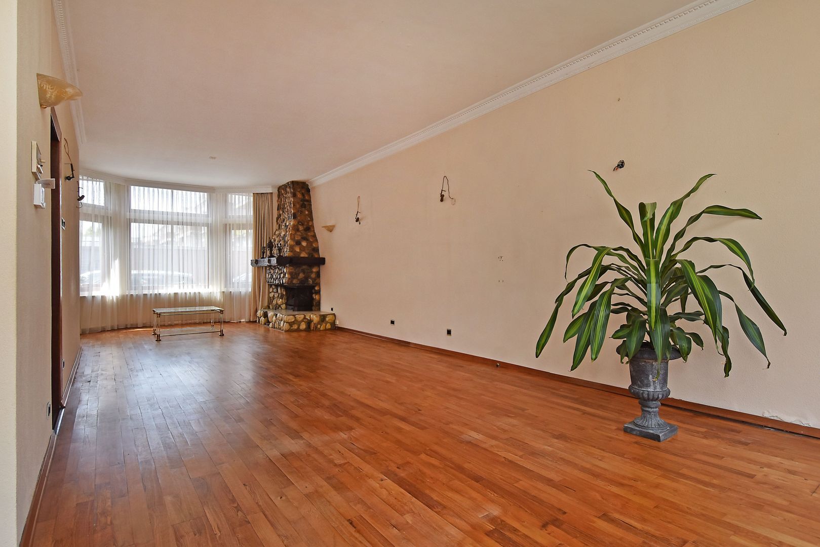 Kruisbessenstraat 7 Den Haag photo-3