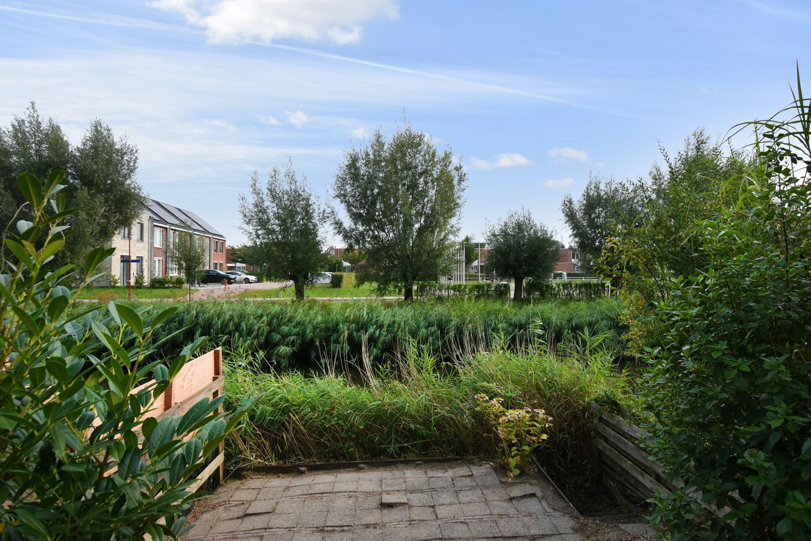 Ahornzoom 40 Zoetermeer photo-12