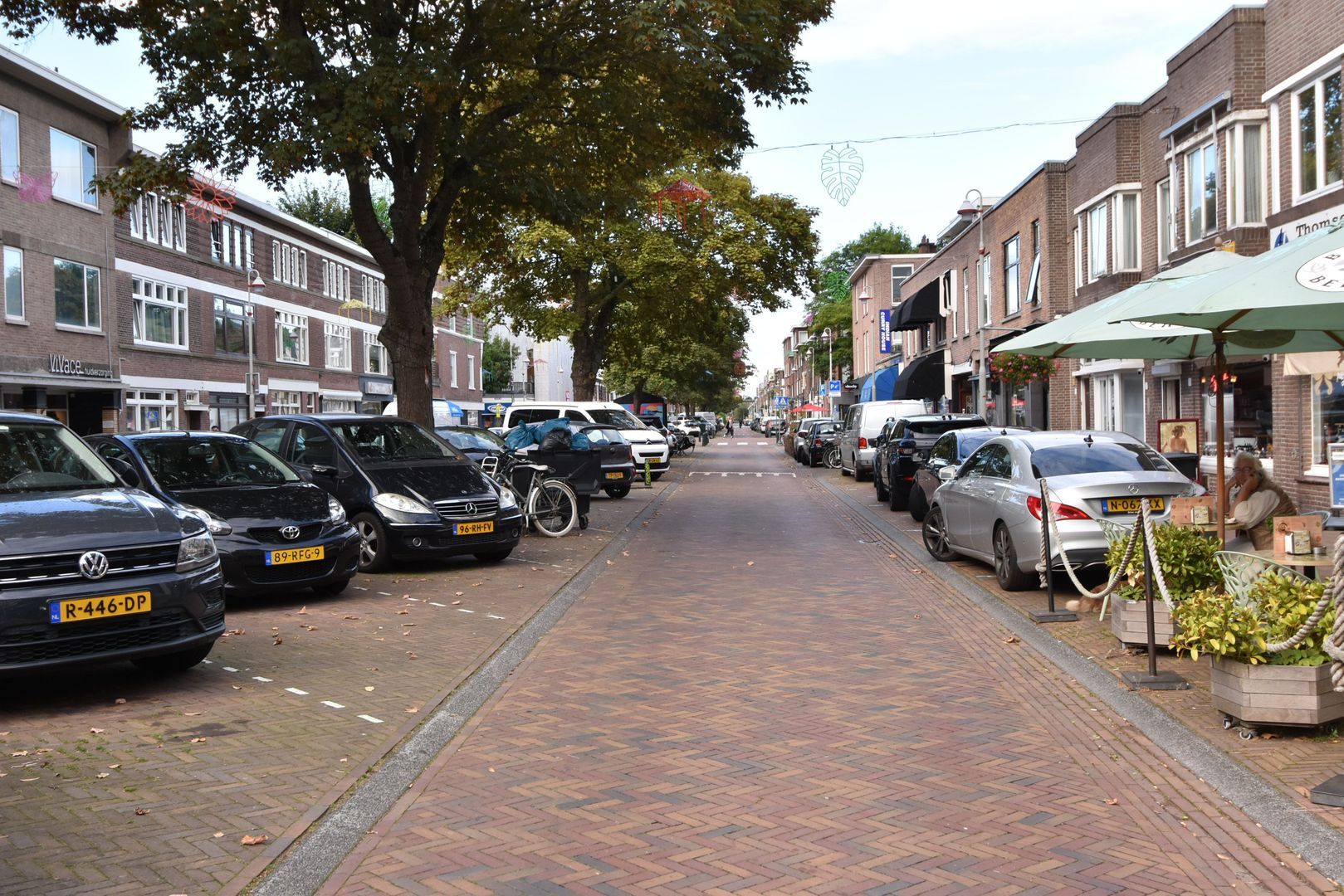 Thomsonlaan 49 Den Haag photo-49