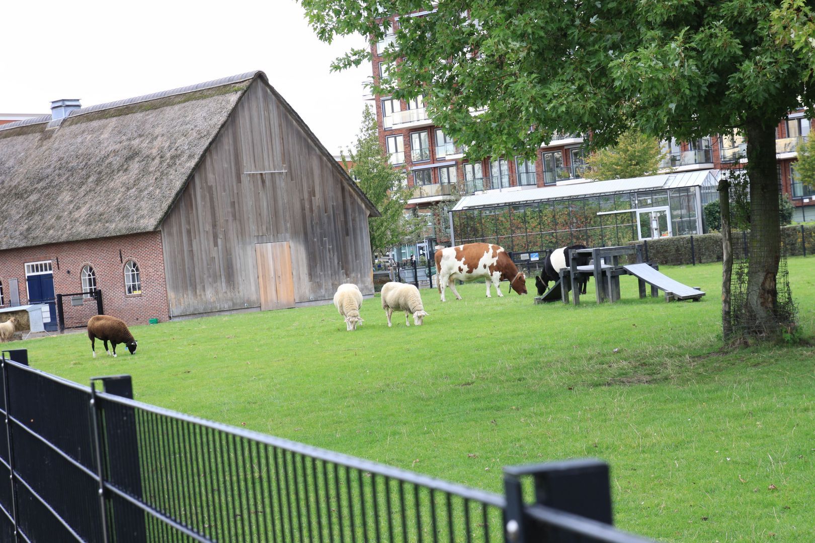 Socrateslaan 30 Den Haag photo-1