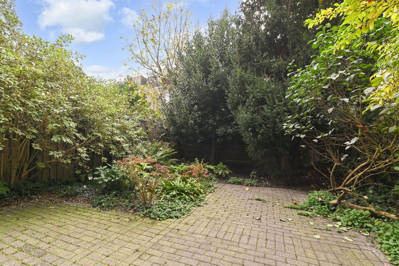 Cornelis de Wittlaan 31 Den Haag photo-9