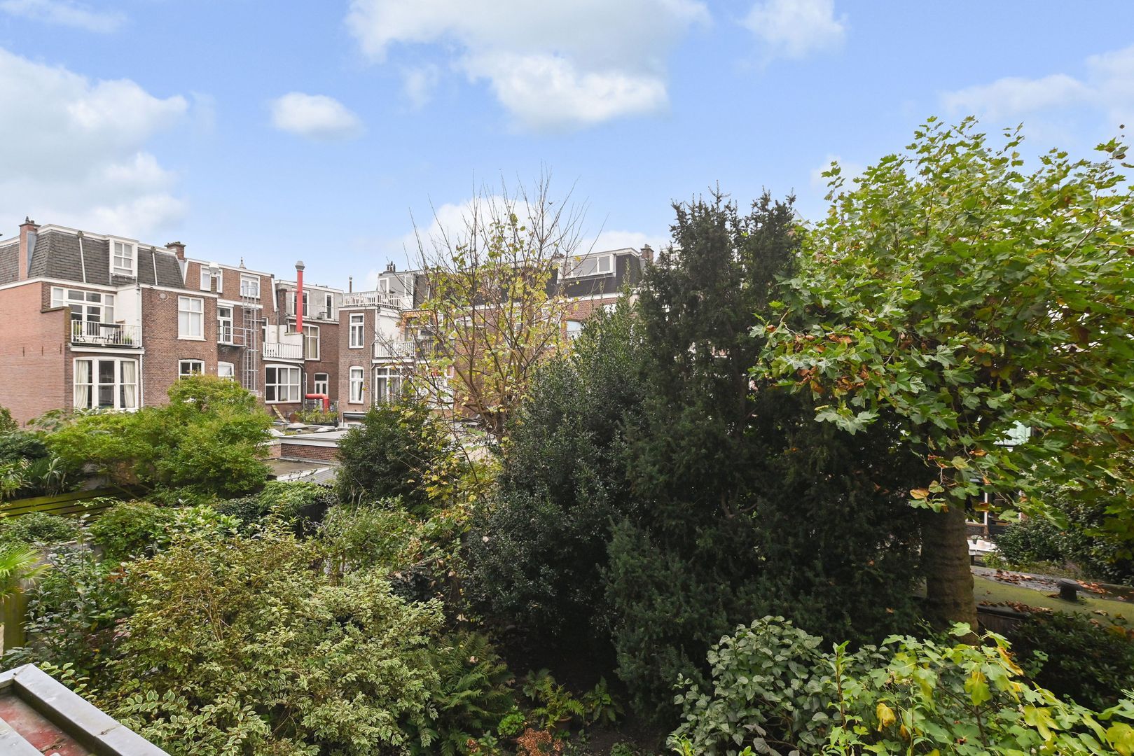 Cornelis de Wittlaan 31 Den Haag photo-48