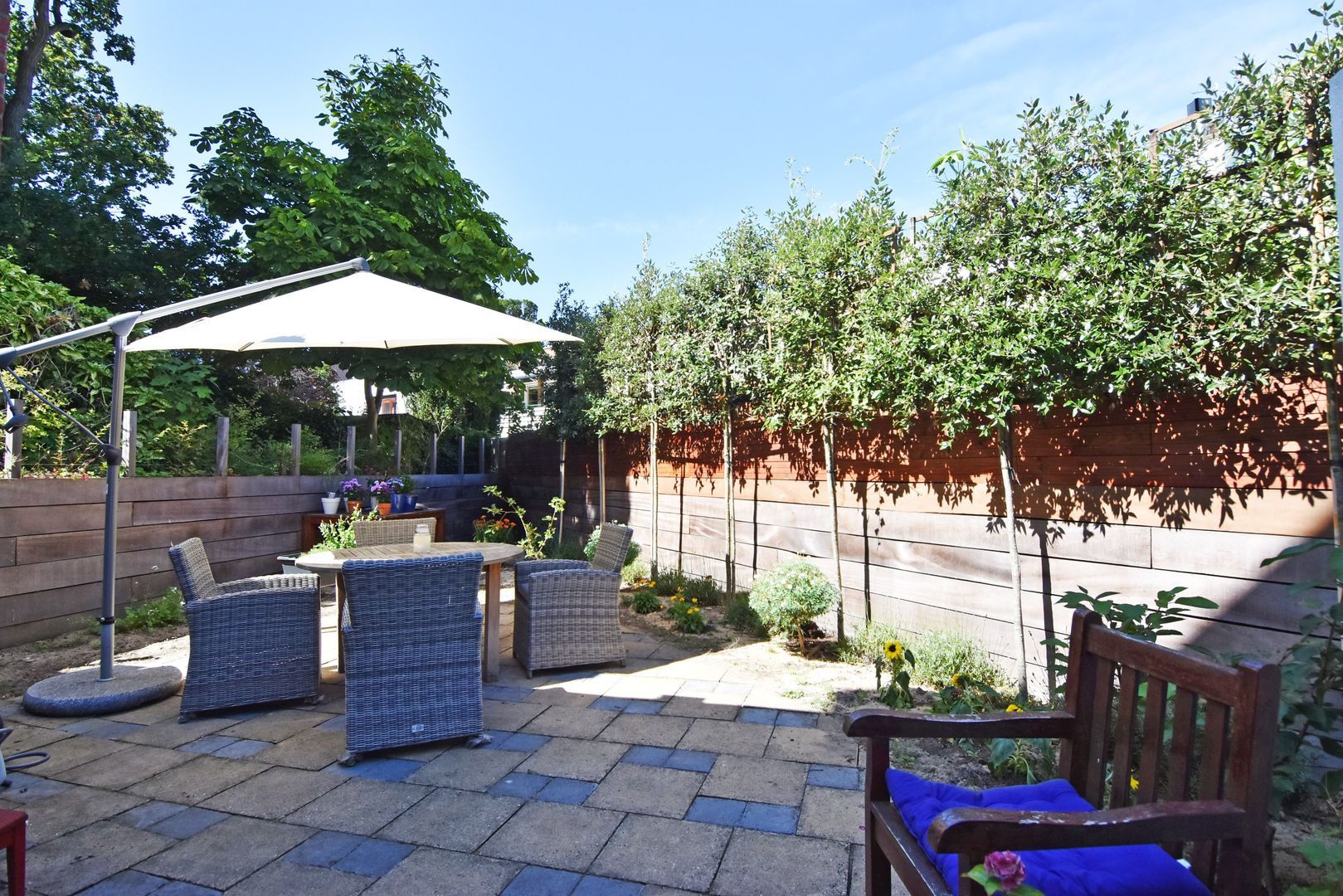 Frankenstraat 7 Den Haag photo-2