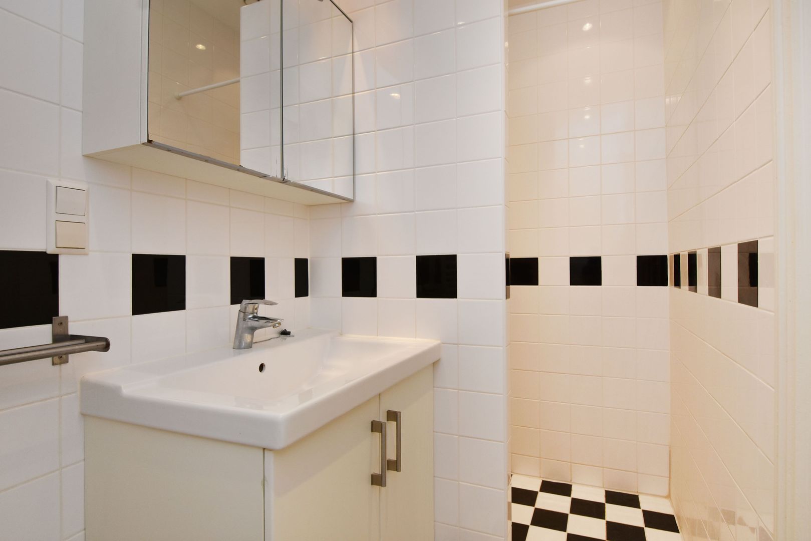 2e Schuytstraat 264 Den Haag photo-9