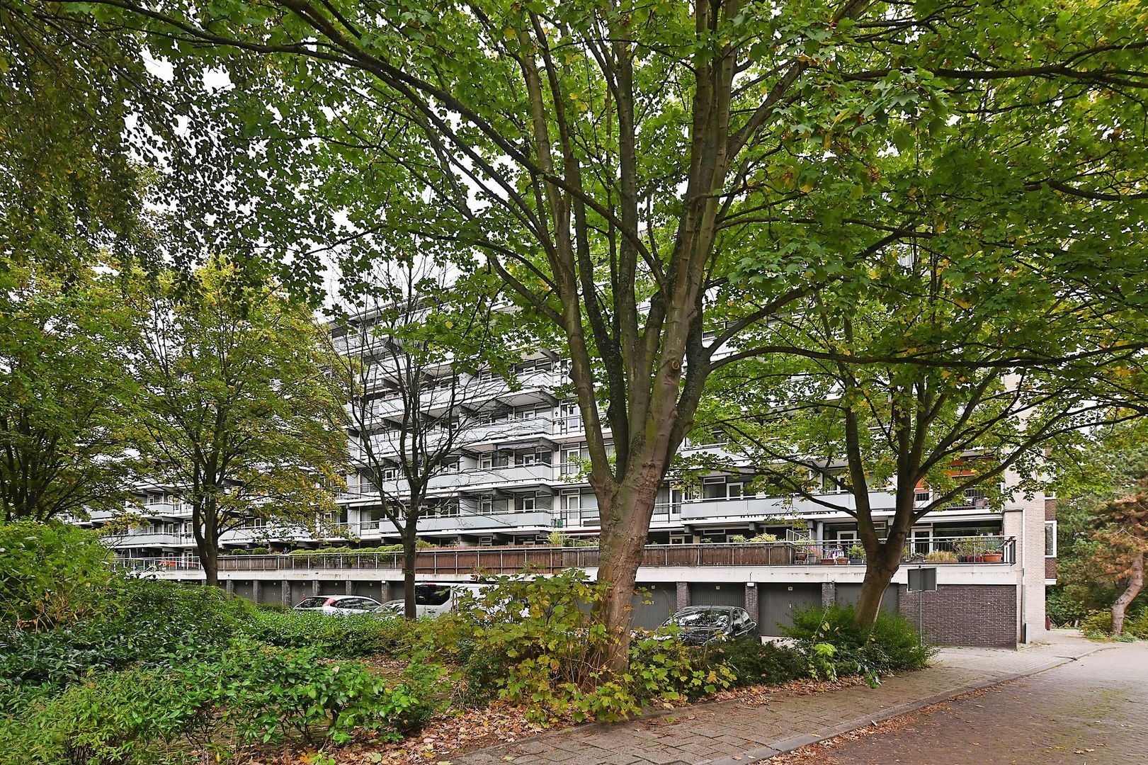 Denijsstraat 39 Den Haag photo-25