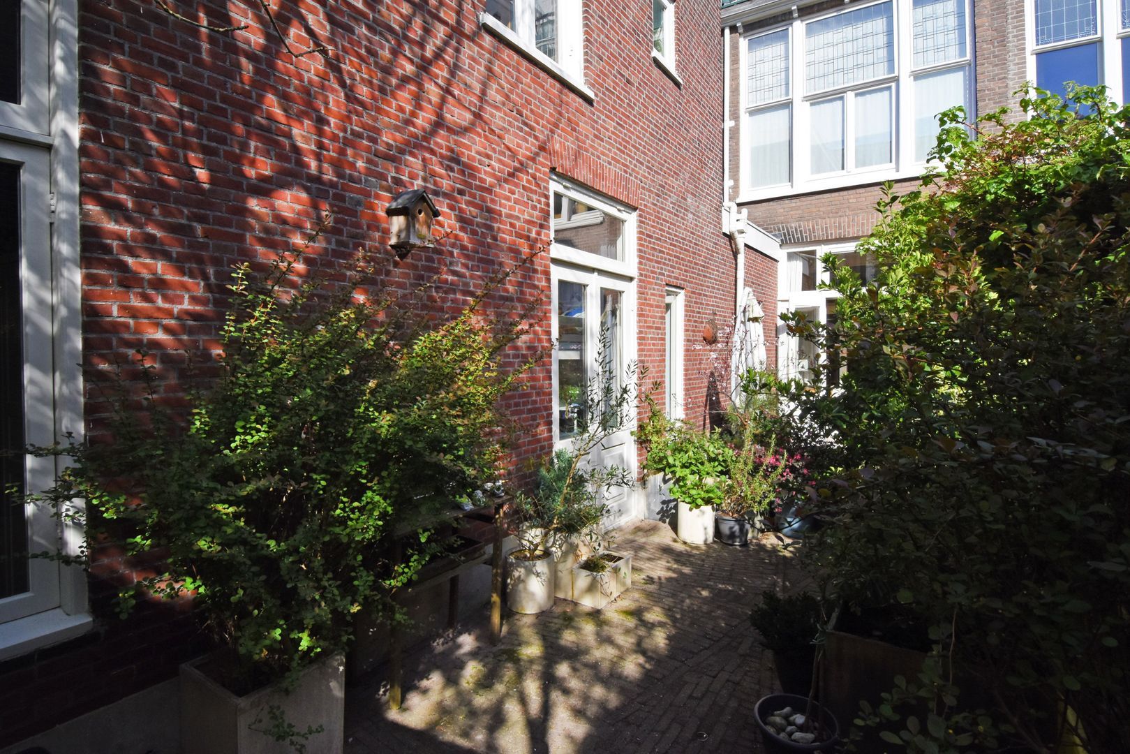 2e Schuytstraat 72 Den Haag photo-27