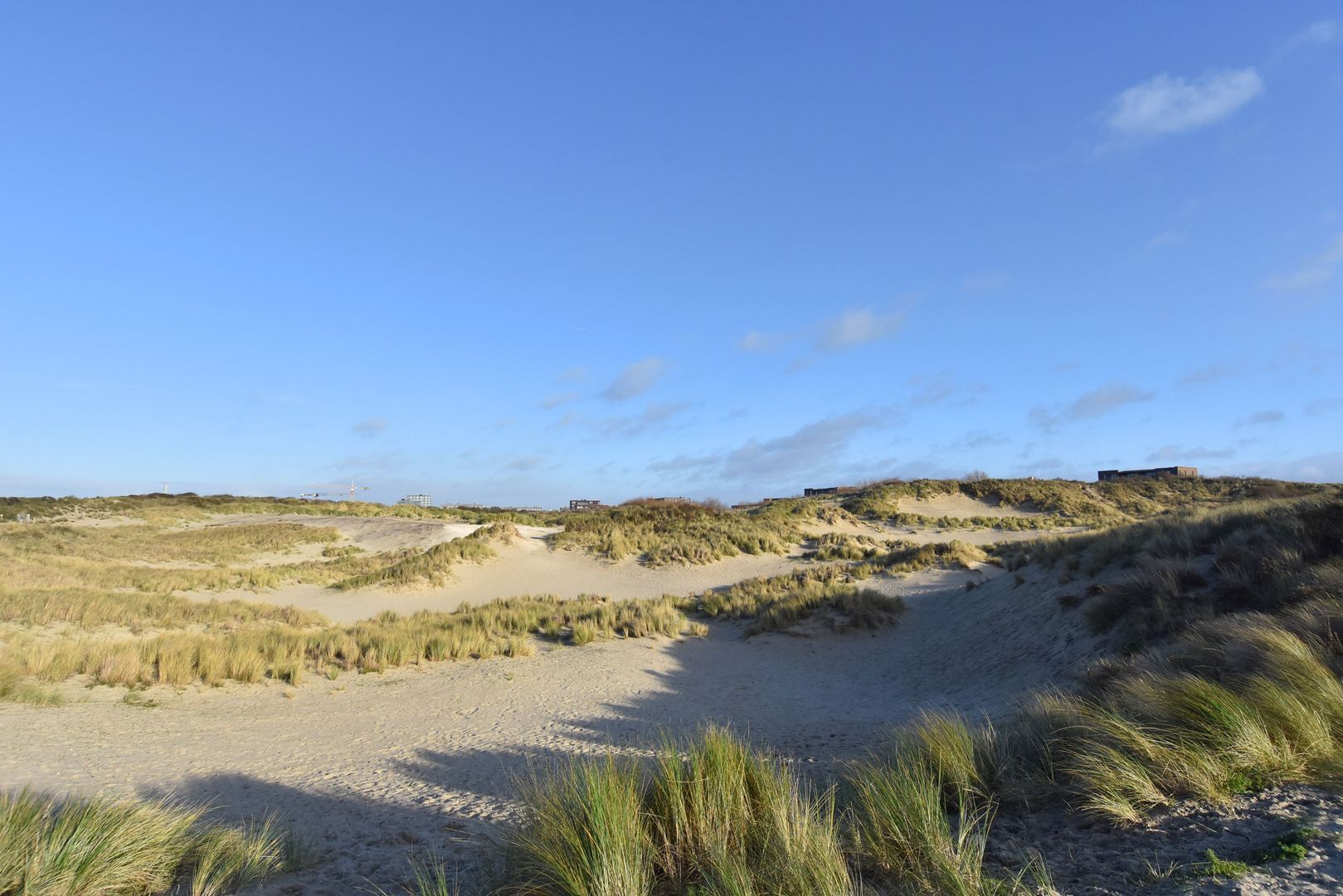 Schoklandsestraat 20 Den Haag photo-28