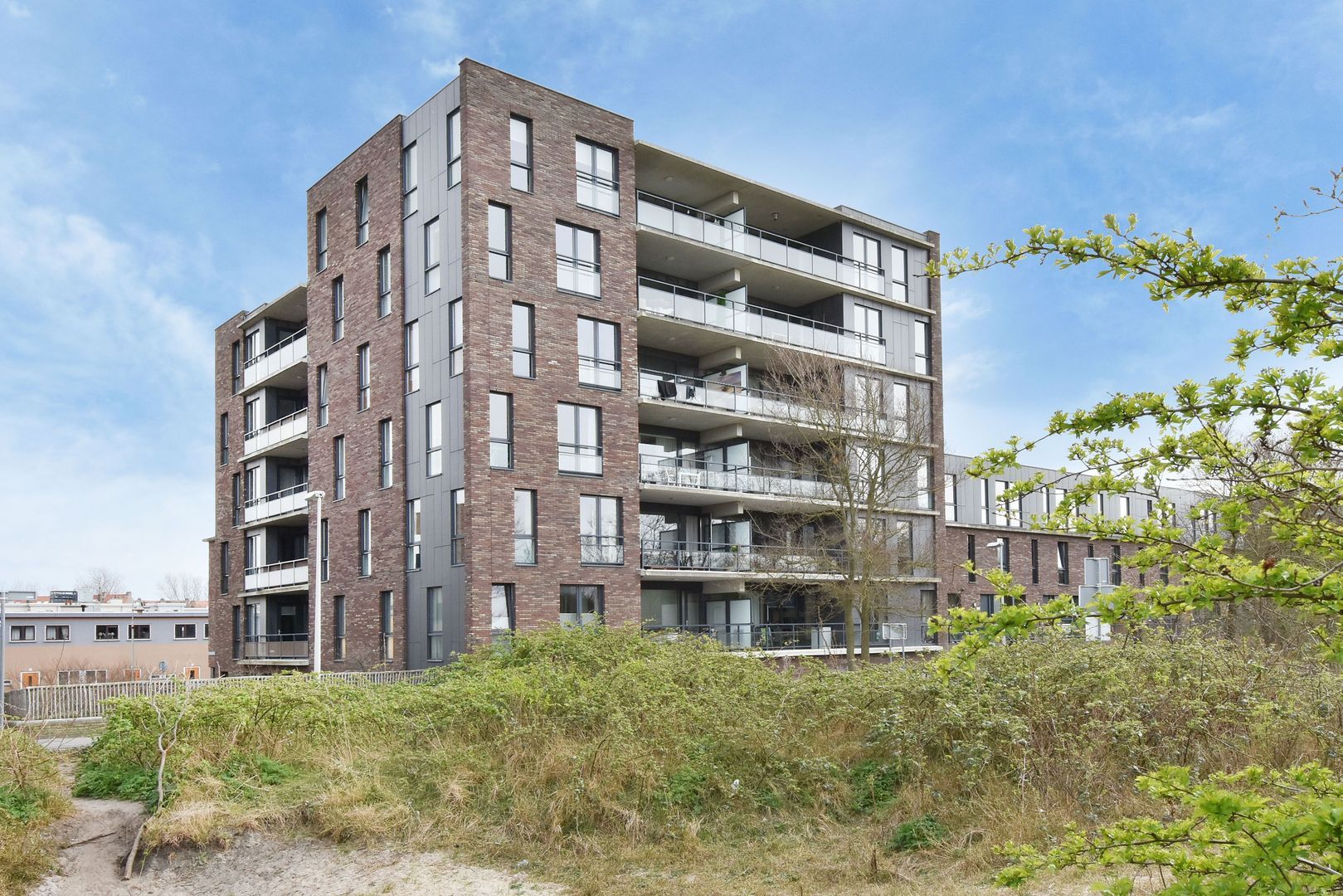 Schoklandsestraat 20 Den Haag photo-23