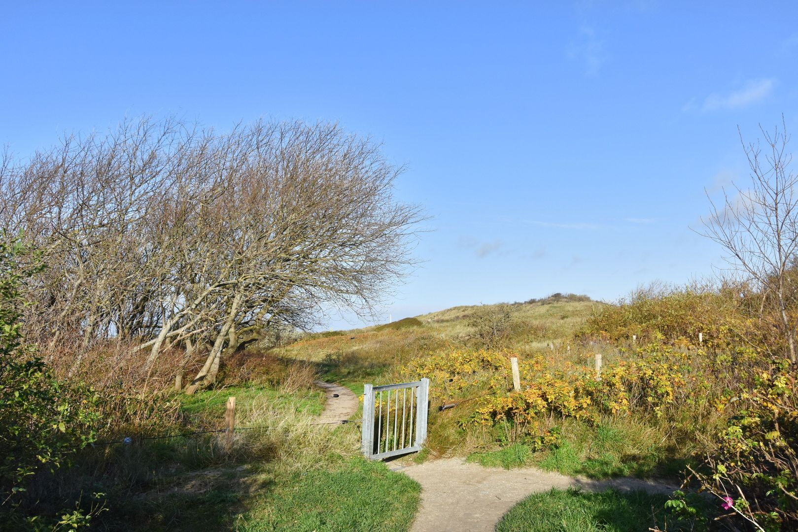 Schoklandsestraat 20 Den Haag photo-26