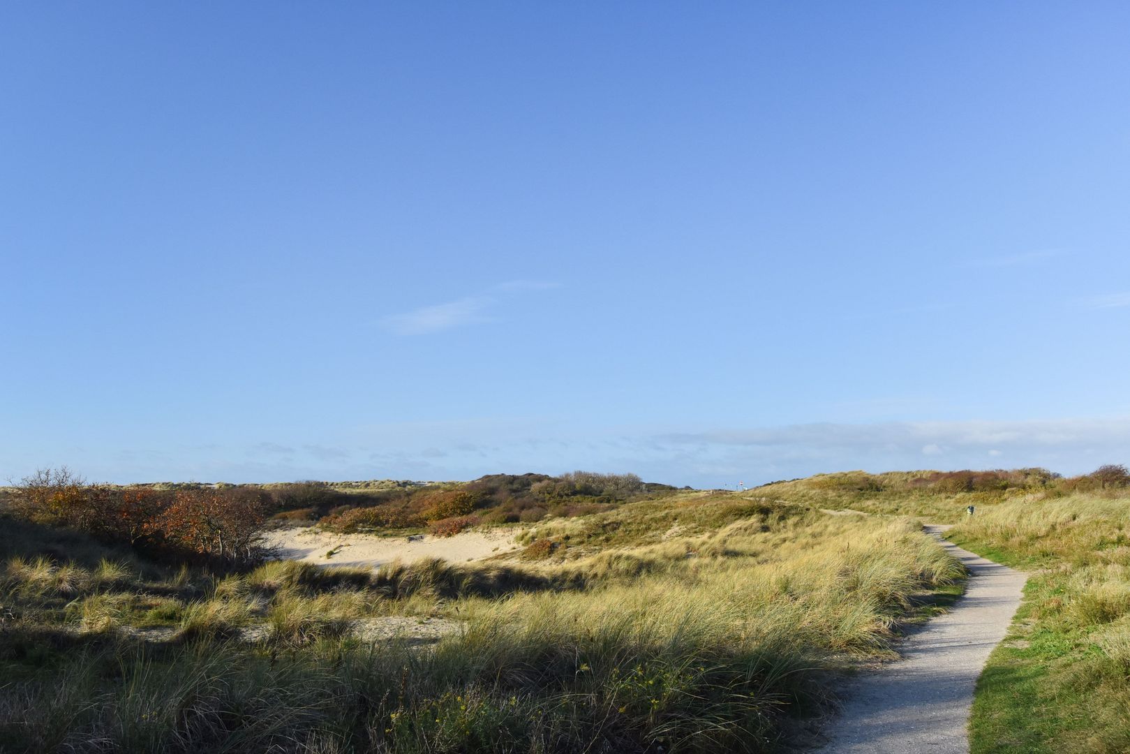 Schoklandsestraat 20 Den Haag photo-27