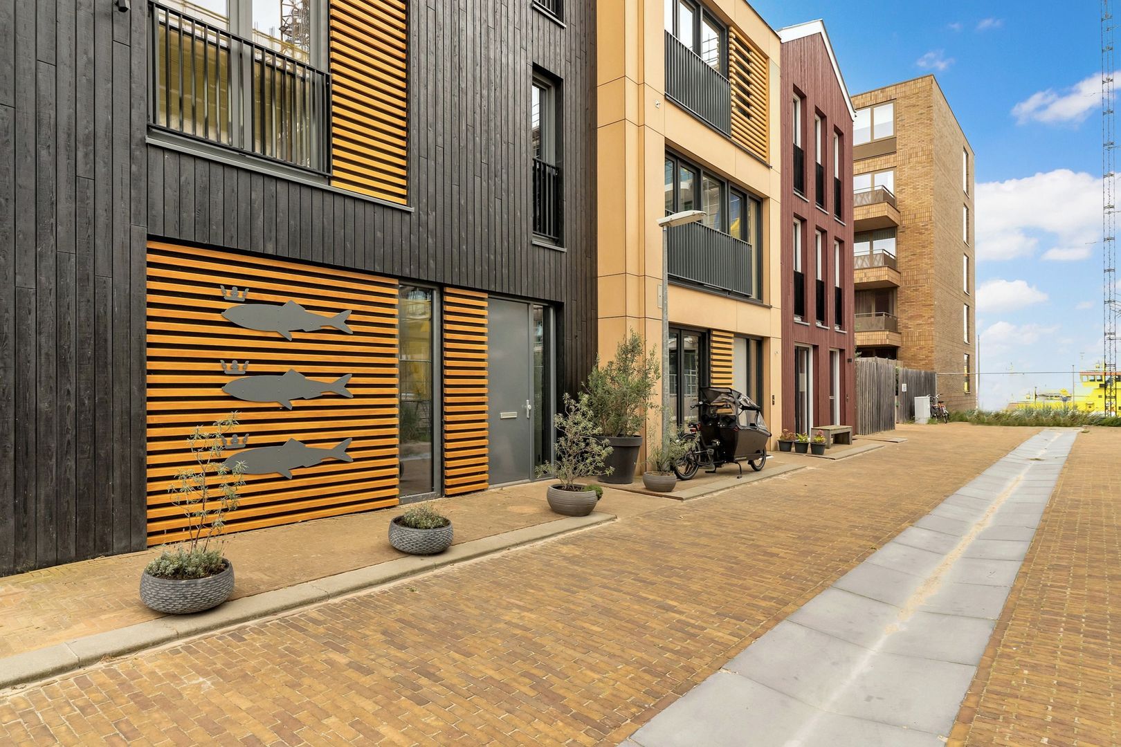 Steigerstraat 22 Den Haag photo-16