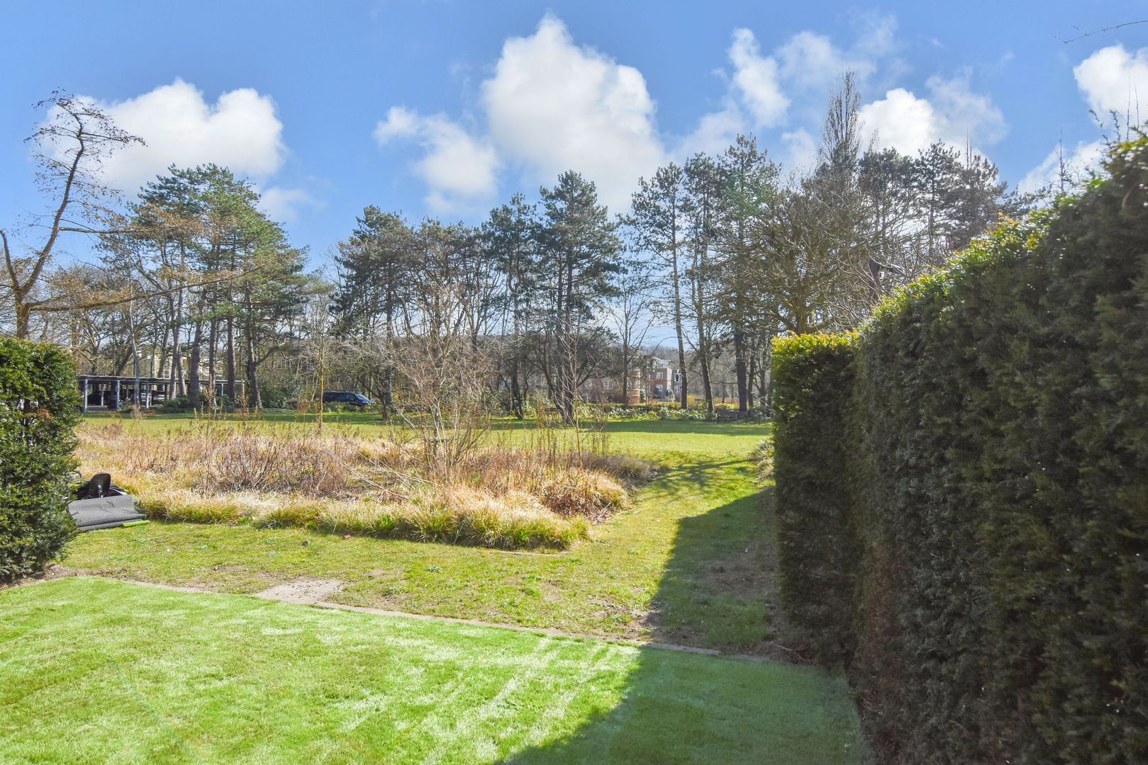 Thérèse Schwartzestraat 113 Den Haag photo-9