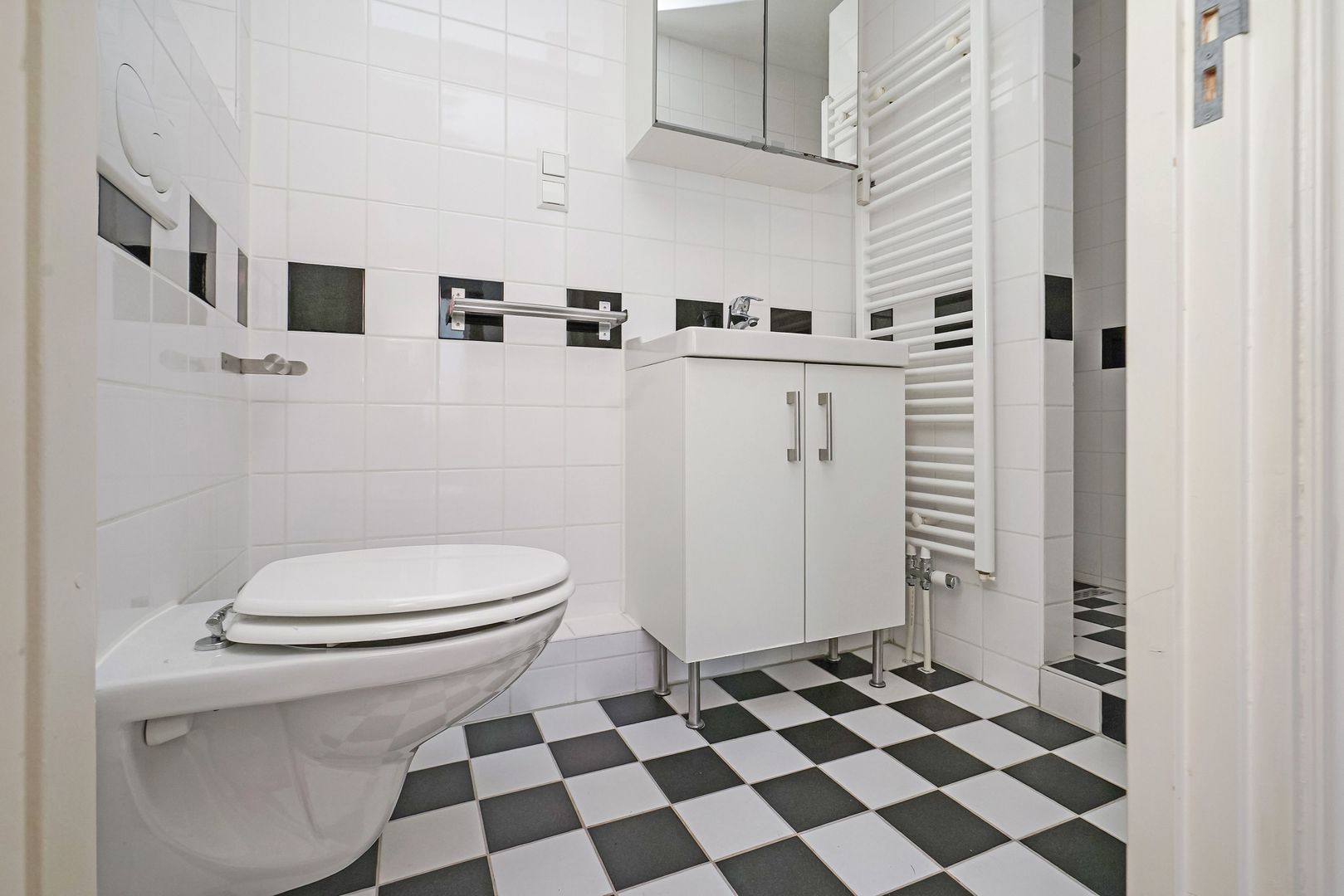 2e Schuytstraat 258 Den Haag photo-8