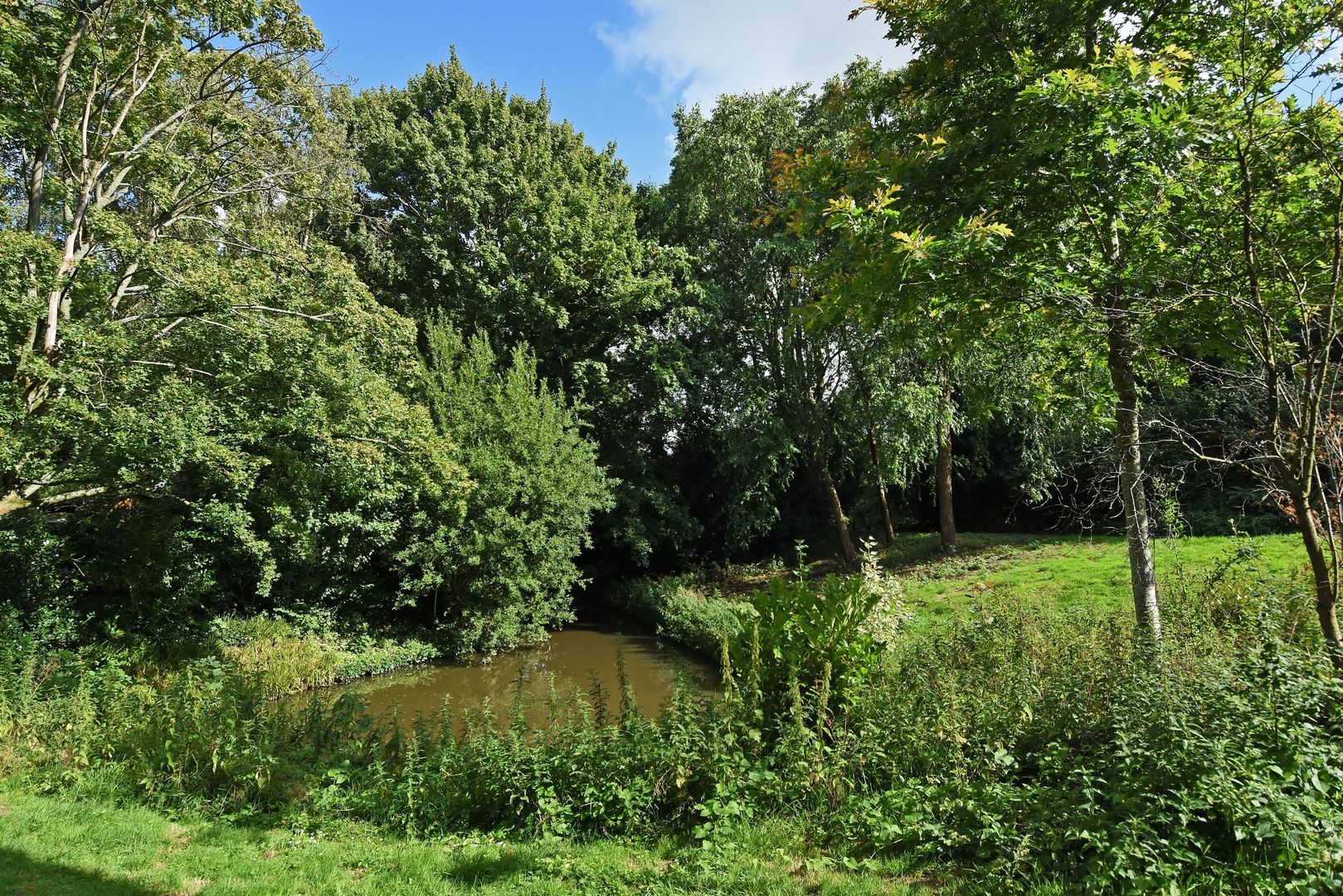 Klaverweide 344 Voorburg photo-33