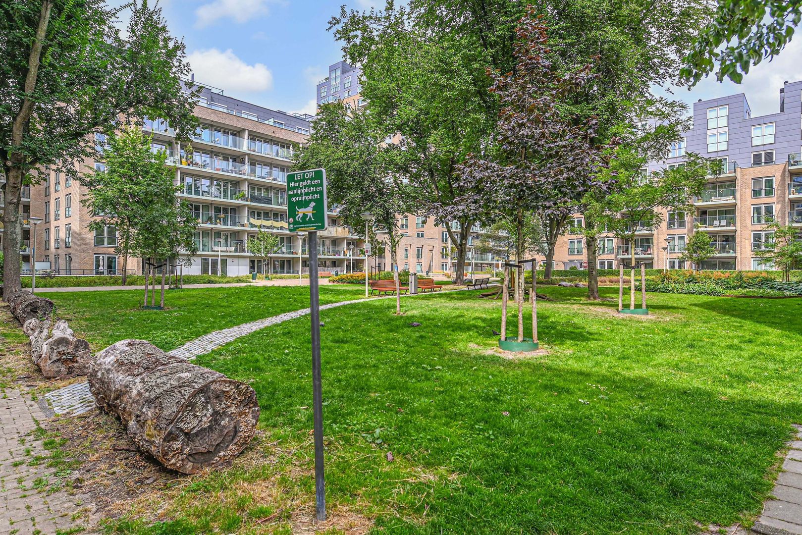 Verhulstplein 19 L Den Haag photo-39