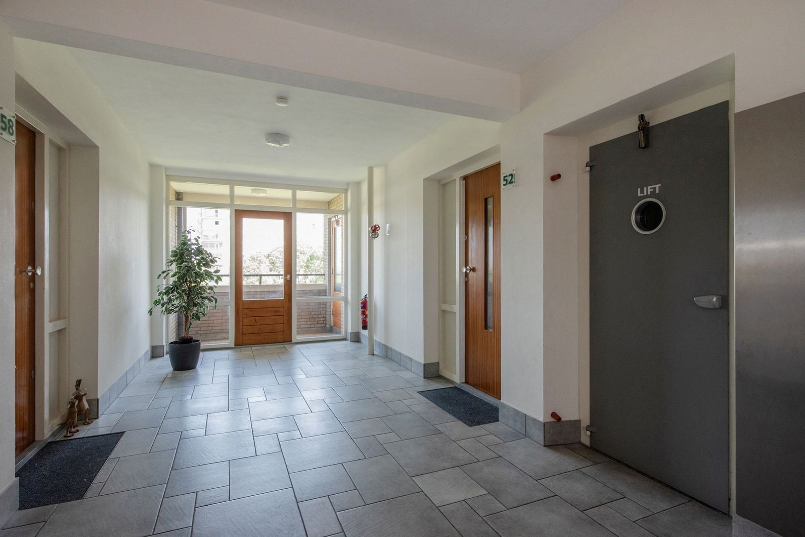 Dignaland 56 Den Haag photo-23