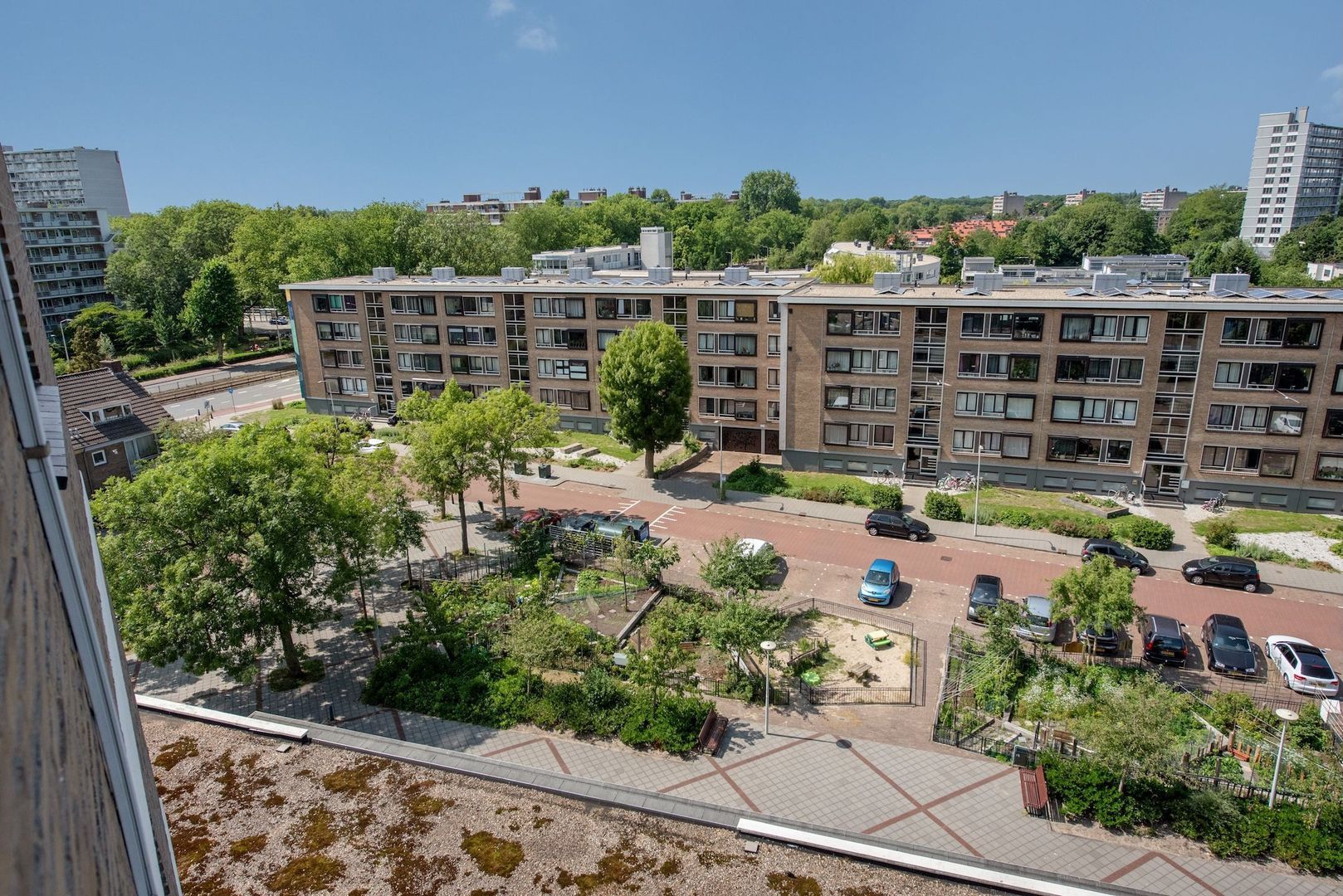 Dignaland 56 Den Haag photo-16