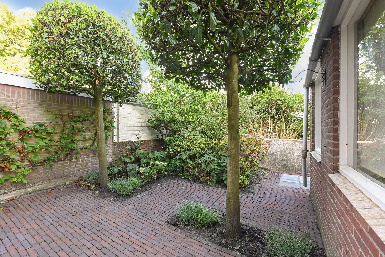 Sportlaan 49 Den Haag photo-41