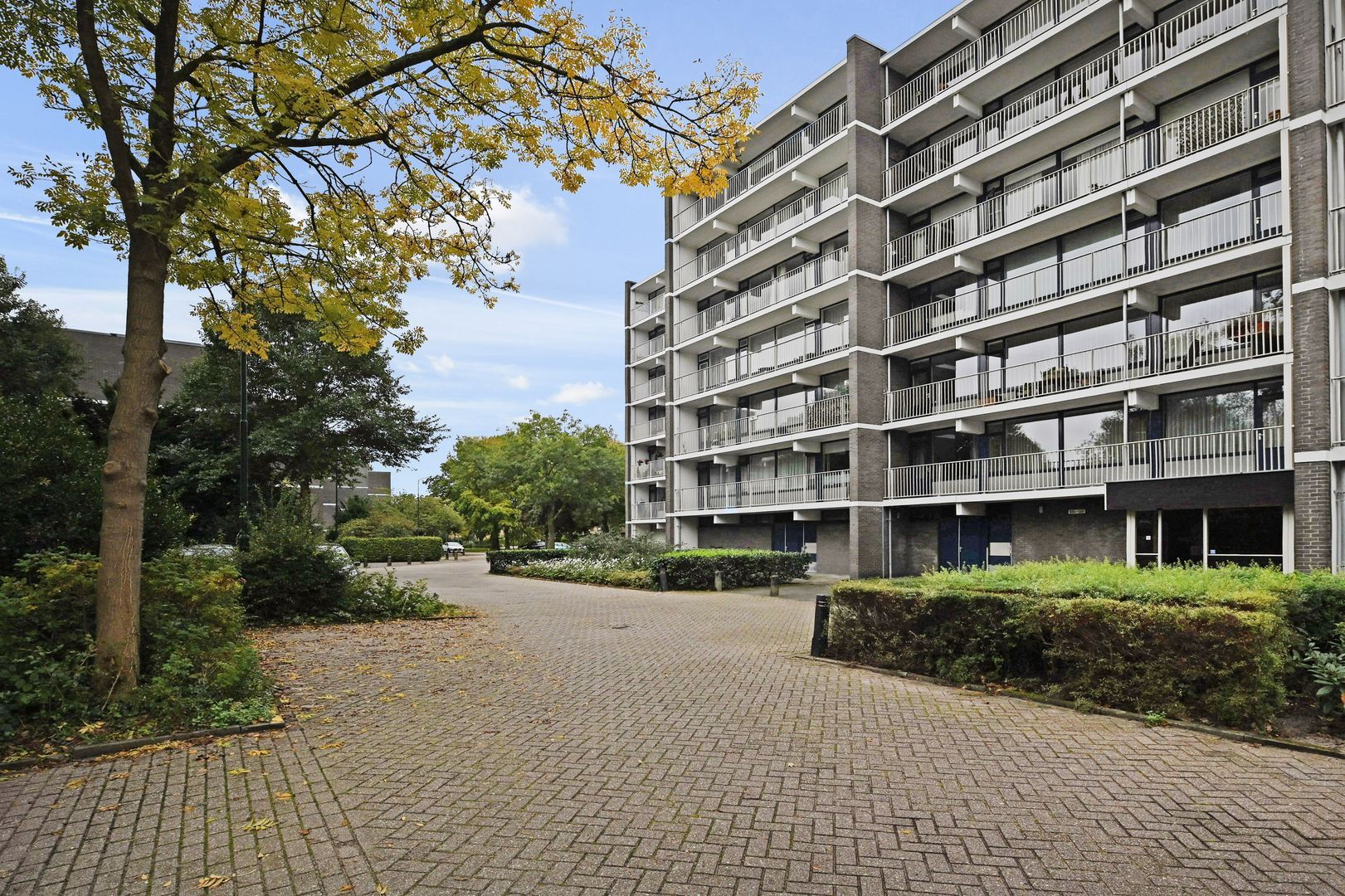 Tulpentuin 167 Voorburg photo-28