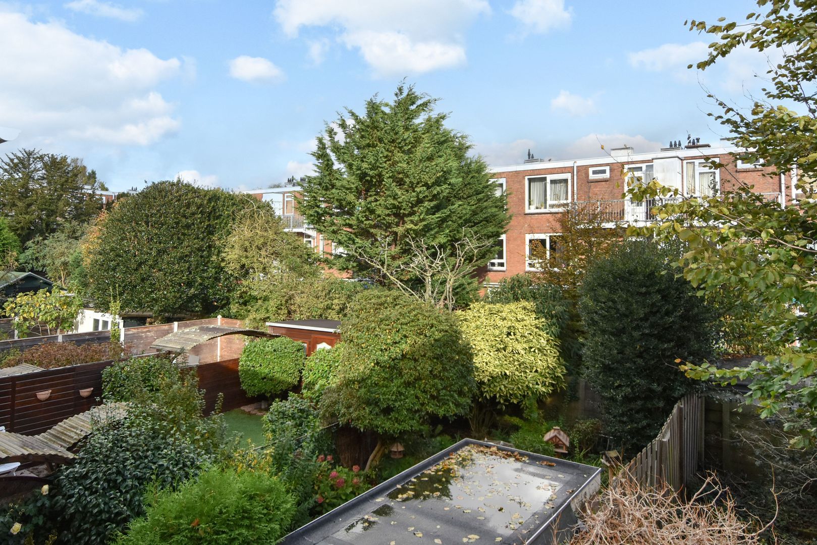 Laan van Eik en Duinen 143 Den Haag photo-35