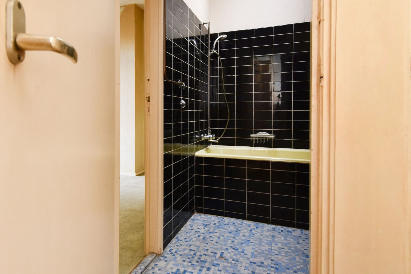 Laan van Eik en Duinen 143 Den Haag photo-28