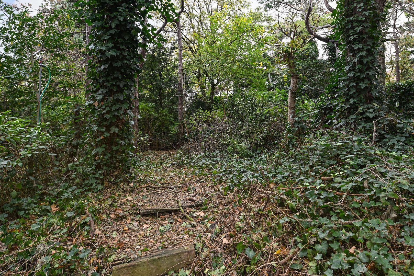 Frankenstraat 29 Den Haag photo-62