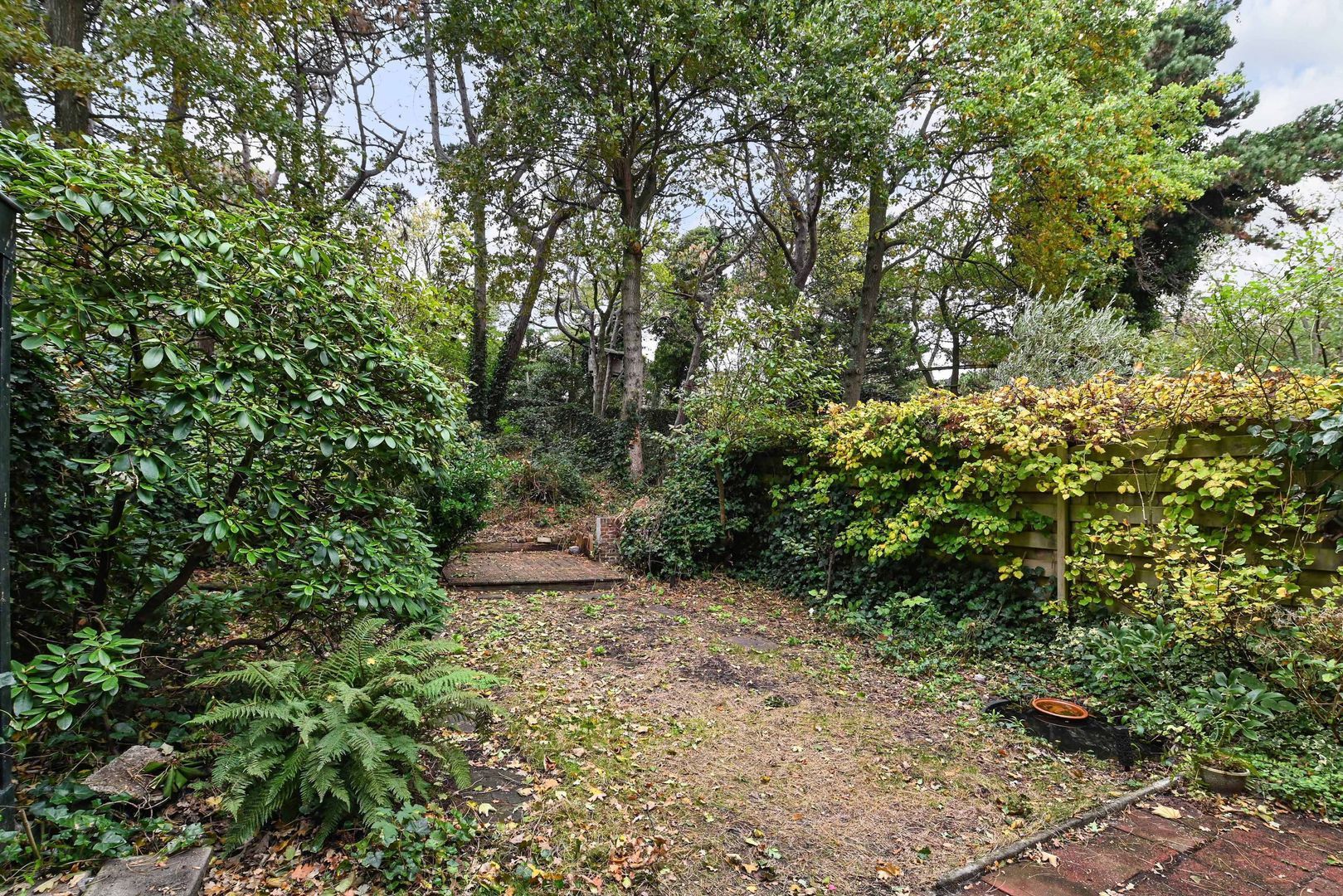 Frankenstraat 29 Den Haag photo-64